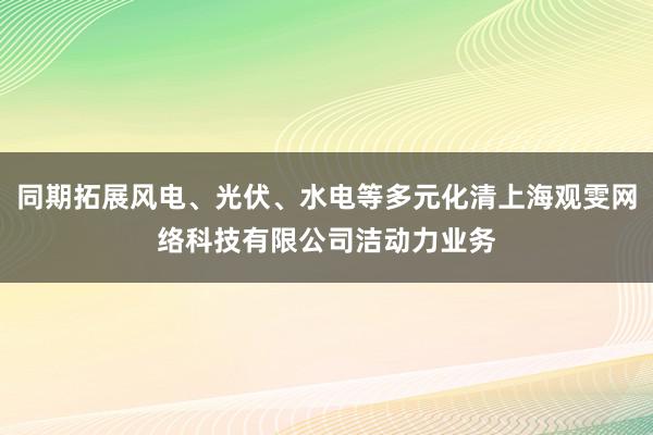 同期拓展风电、光伏、水电等多元化清上海观雯网络科技有限公司洁动力业务