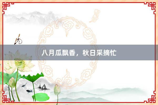 八月瓜飘香，秋日采摘忙
